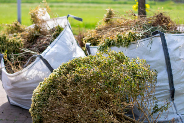 Best Same-Day Junk Removal  in Mifflinburg, PA